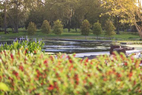 Houston Botanic Garden_LagoFamily Discovery Garden.jpg